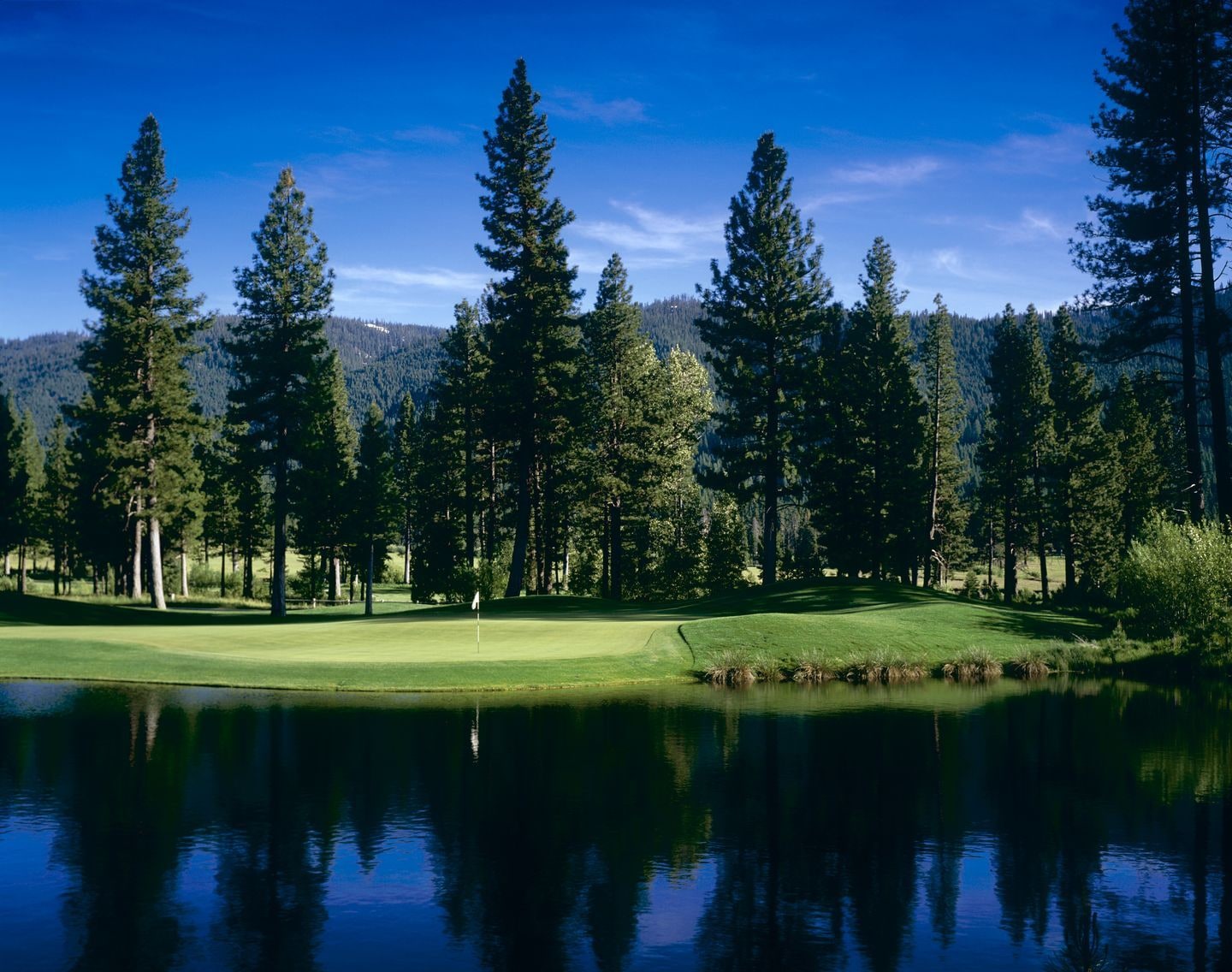 Whitehawk Ranch